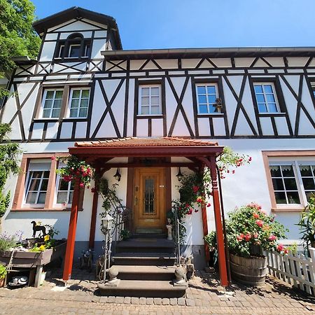 Gaestehaus Beurener Muehle Bad Bertrich Ngoại thất bức ảnh
